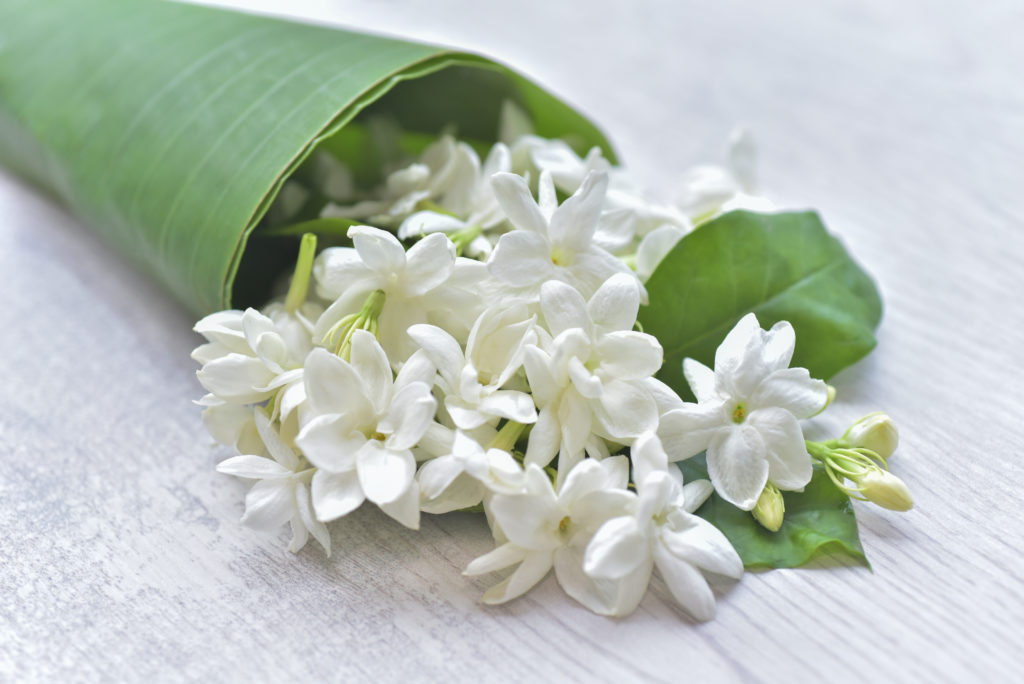 Boquet,Of,Blooming,Fresh,Jasmine,Flower,With,Green,Banana,Leaves